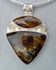 Baltic Amber and Pietersite